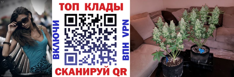 Наркошоп Харовск Каннабис  hydra зеркало  Гашиш  Мефедрон  APVP 