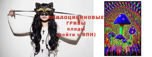 сатива Белоозёрский