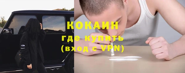 сатива Белоозёрский