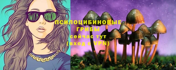 сатива Белоозёрский