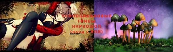 сатива Белоозёрский